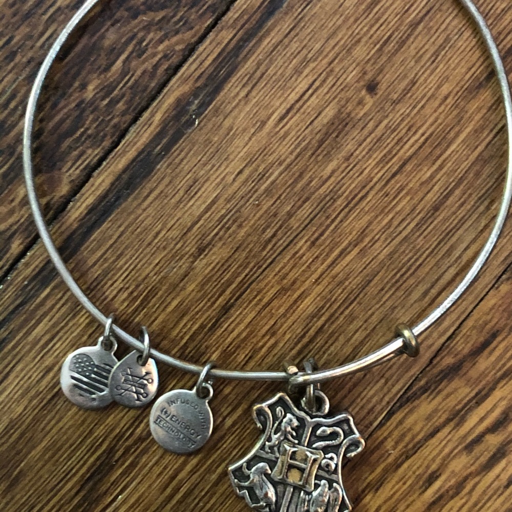 Alex and ani hogwarts crest Harry Potter